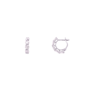 Brinco Argola Em Ouro Branco  Com 10 Diamantes 